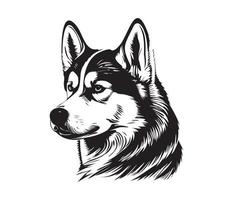 siberiano fornido rostro, silueta perro rostro, negro y blanco siberiano fornido vector