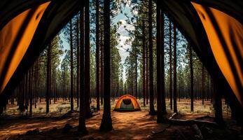 verano acampar en el pino vista al bosque de cámping carpas entre el pino arboles ,generativo ai foto