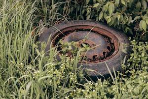 an old car tire as environmental pollution in a meadow photo