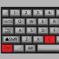 Combination of buttons to copy vector