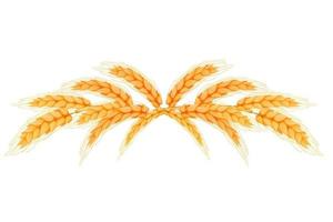 Wreath border from spikelets, golden color wheat horizontal frame in cartoon style isolated on white background. For bakery, tags or labels. Vector illustration