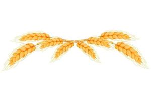 Wreath border from spikelets, golden color wheat horizontal frame in cartoon style isolated on white background. For bakery, tags or labels. Vector illustration