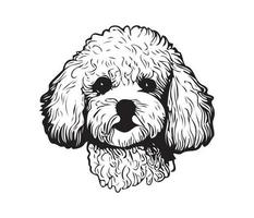 Bichon Frise Face, Silhouette Dog Face, black and white Bichon Frise vector