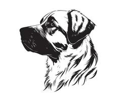 Anatolian Shepherd Face, Silhouettes Dog Face, black and white Anatolian Shepherd vector