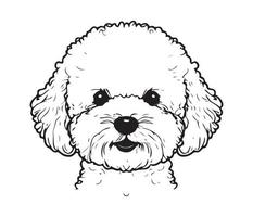 bichón frise rostro, silueta perro rostro, negro y blanco bichón frise vector