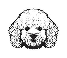 bichón frise rostro, silueta perro rostro, negro y blanco bichón frise vector