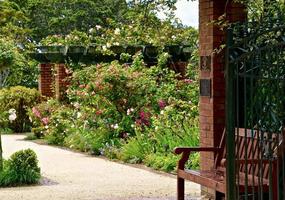 Rose Garden in New Zealand photo