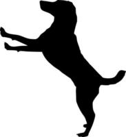 Vector silhouette of Dog on white background