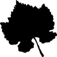 Vector silhouette of leaf on white background