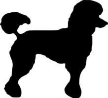 Vector silhouette of Dog on white background