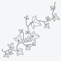 hiedra floral dibujo ornamento decorativo diseño plano. vector