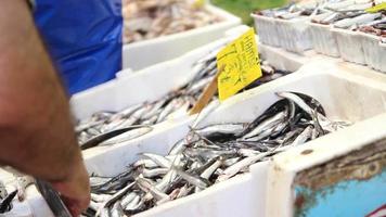 vis verkocht Aan vis markt video