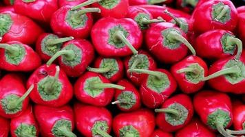 rojo pimientos en verdulero, cosecha y comprando rojo pimientos en un fila a el tienda de comestibles almacenar, selectivo atención video