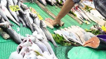 Fresh Sea Fish on counter video