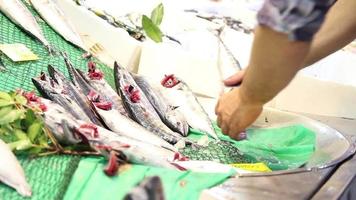 vendedor pilas mar pescado en estantería en pescado mercado, agua es arrojado en pescado y Fresco pescado esperando para venta, selectivo atención video