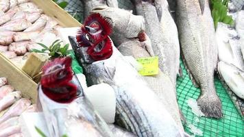 pescado vendido en calle video