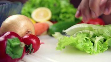 Slicing curly for food, making salad for dinner in kitchen, selective focus video