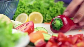 fabbricazione cucinare nel il cucina video