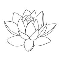 Lotus line art. Big lotus bud, exotic esoteric plant. For invitations vector