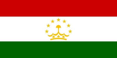 Tajikistan flag simple illustration for independence day or election vector