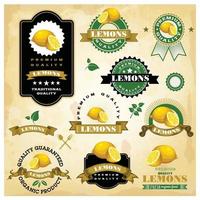 A set of stickers for lemons and other labels. vector