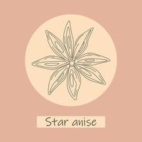 Contour drawing of anise on the backdrop of circle with lettering Star anise. Template for wrapping vector