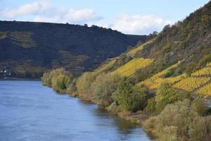 Autumn Colored Mosel Valley photo