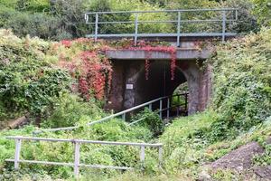 Plants covering a small railroad Bridge photo