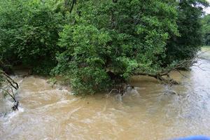 Huge Flood of a Tiny River photo