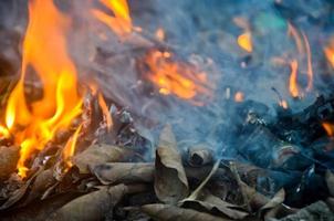 fumar y fuego de ardiente seco césped y hojas foto