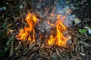 smoke and fire of burning dry grass and leaves photo