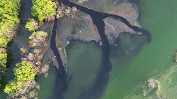 Antenne absteigend aussehen Nieder schwarz Wasser Verschmutzung in der Nähe von das Teich video