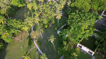 Aerial move over abandoned building beside coconut trees video