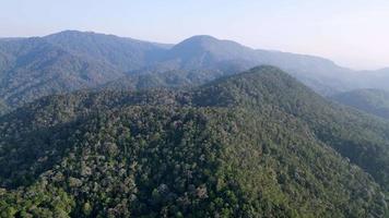 Antenne Bewegung Über Regenwald Malaysia im Abend Sonne Licht video