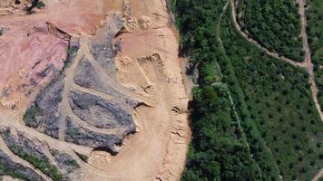 antenne visie kijken naar beneden land- opruimen en herplanten van olie palm boom video