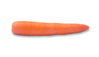 soltero Fresco naranja Zanahoria vegetal aislado con recorte camino y sombra en png archivo formato