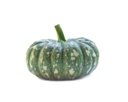 Single fresh green pumpkin with strange pattern isolated with clipping path and shadow in png format