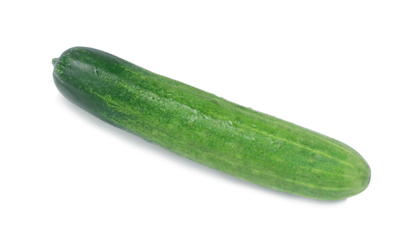 oben Aussicht von Single frisch Grün Gurke Gemüse isoliert mit Ausschnitt Pfad und Schatten im png Datei Format