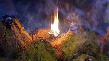 lento movimento queimando do incenso às coco usava para esmagar durante thaipusam video