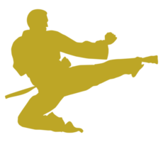 Silhouette von kriegerisch Künstler trete, Taekwondo, Karate, pencak Silat, Kung Fu zum Logo oder Grafik Design Element. Format png