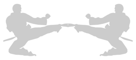 silhouette de martial artiste coup, taekwondo, karaté, pencak silat, kung-fu, pour logo ou graphique conception élément. format png
