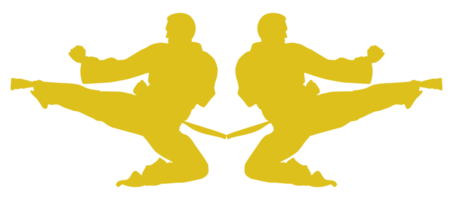 silhouette de martial artiste coup, taekwondo, karaté, pencak silat, kung-fu, pour logo ou graphique conception élément. format png