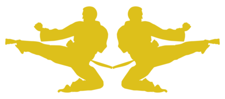 silhouet van krijgshaftig artiest trap, taekwondo, karate, pencak silaat, kungfu, voor logo of grafisch ontwerp element. formaat PNG