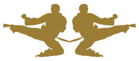 Silhouette von kriegerisch Künstler trete, Taekwondo, Karate, pencak Silat, Kung-Fu, zum Logo oder Grafik Design Element. Format png