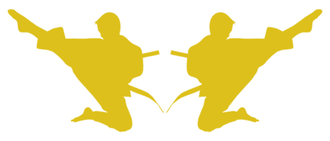 silhouette di marziale artista calcio, taekwondo, karatè, pencak sila, kungfu, per logo o grafico design elemento. formato png