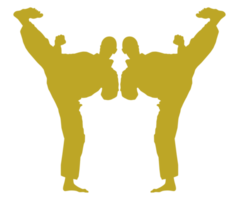 Silhouette von kriegerisch Künstler trete, Taekwondo, Karate, pencak Silat, Kung-Fu, zum Logo oder Grafik Design Element. Format png