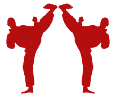 silueta de marcial artista patada, taekwondo, kárate, pencak silat, kung-fu, para logo o gráfico diseño elemento. formato png