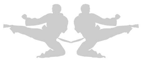 Silhouette von kriegerisch Künstler trete, Taekwondo, Karate, pencak Silat, Kung-Fu, zum Logo oder Grafik Design Element. Format png