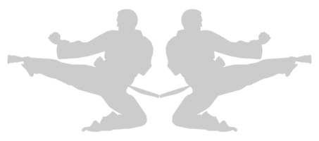 silhouette di marziale artista calcio, taekwondo, karatè, pencak sila, kungfu, per logo o grafico design elemento. formato png