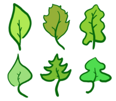 Hand drawn leaves illustration set png